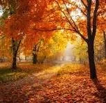 Harvest: A monthly workshop series for Therapists in Private Practice