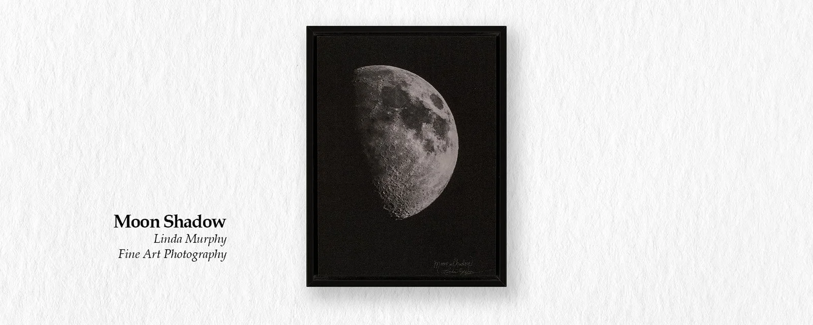MURPHY-ART-MOON-SHADOW.jpg