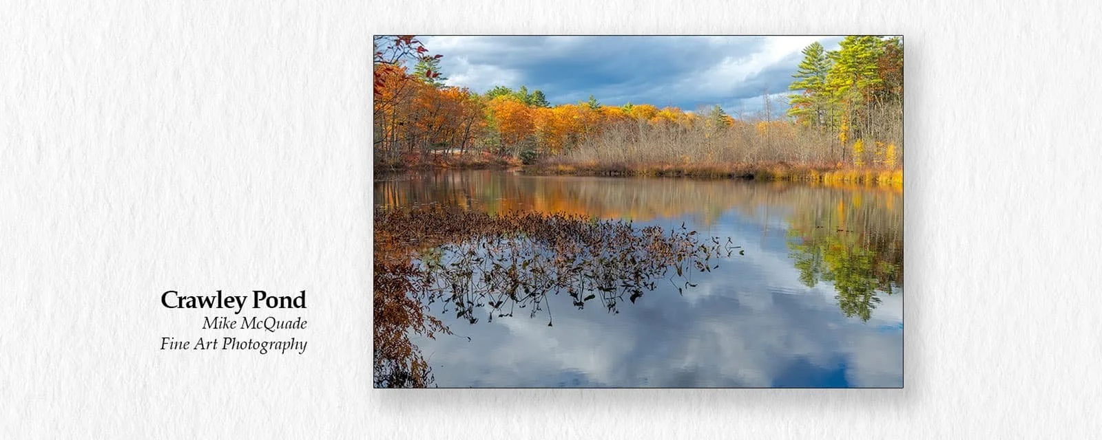 MCQUADE-ROOM-CRAWLEY-POND.jpg