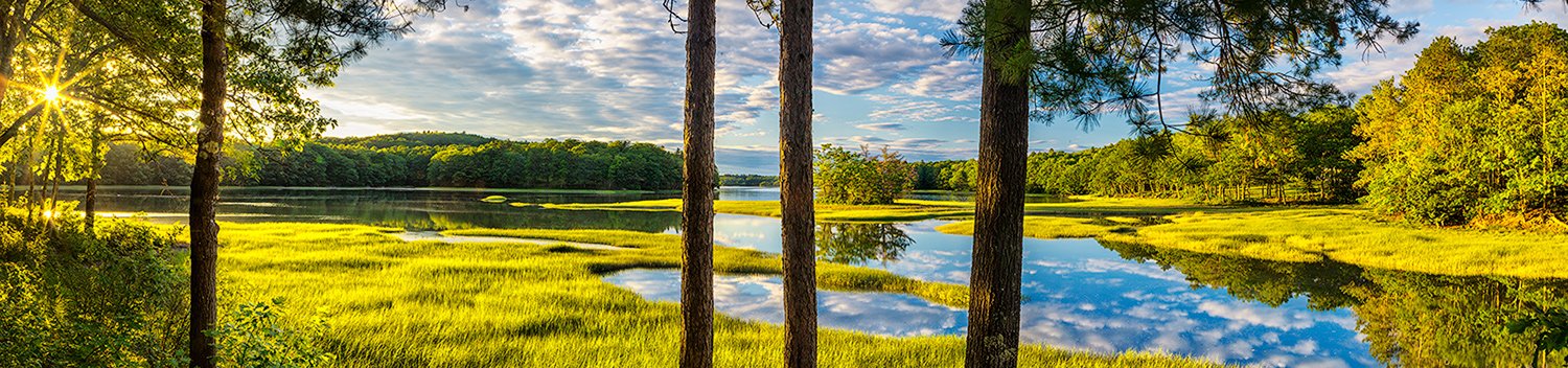 "Back River Estuary" by Mike McQuade