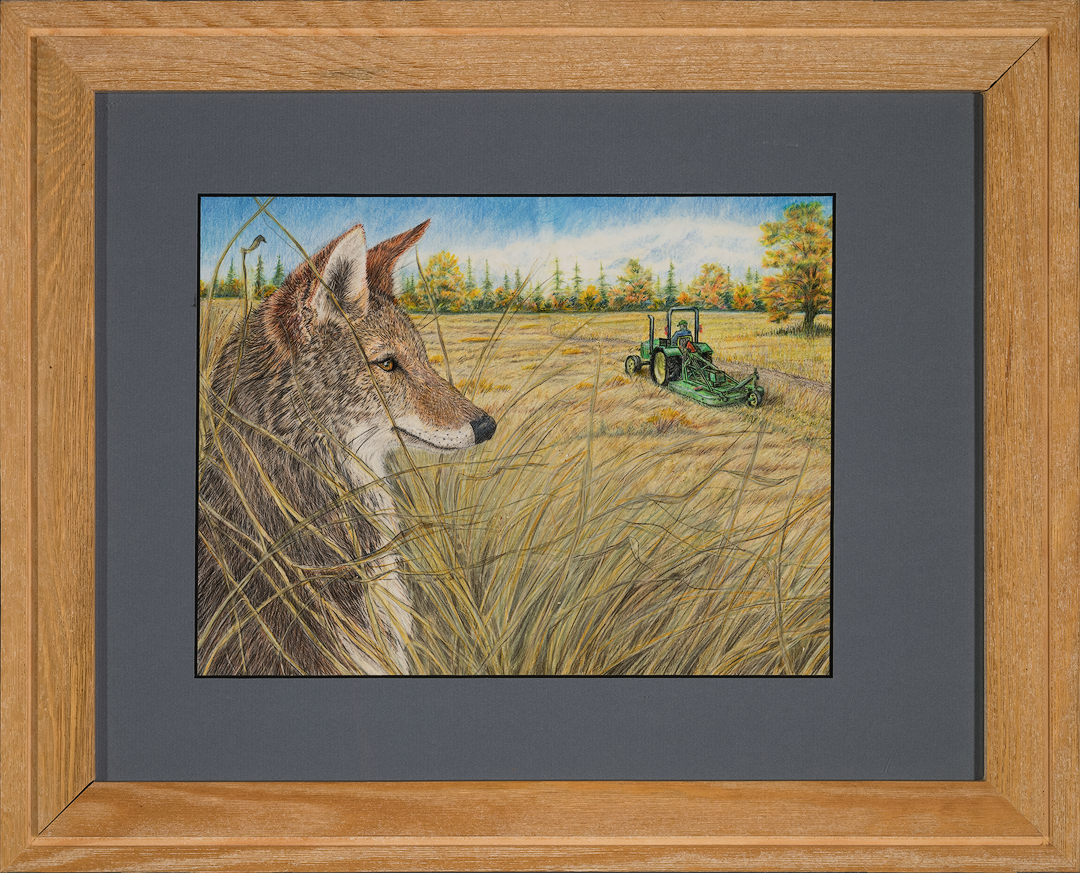 "The Opportunist" by Lynn Casey