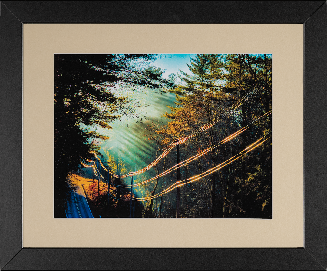 Second Place-Color Photography
Wires Afire by Robert Heiner