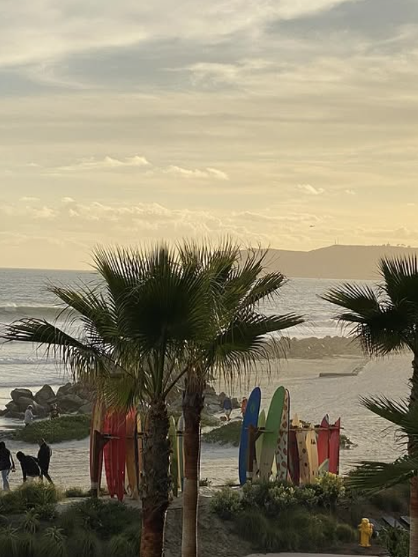 Screenshot 2025-04-16 at 9.45.53 AM.png