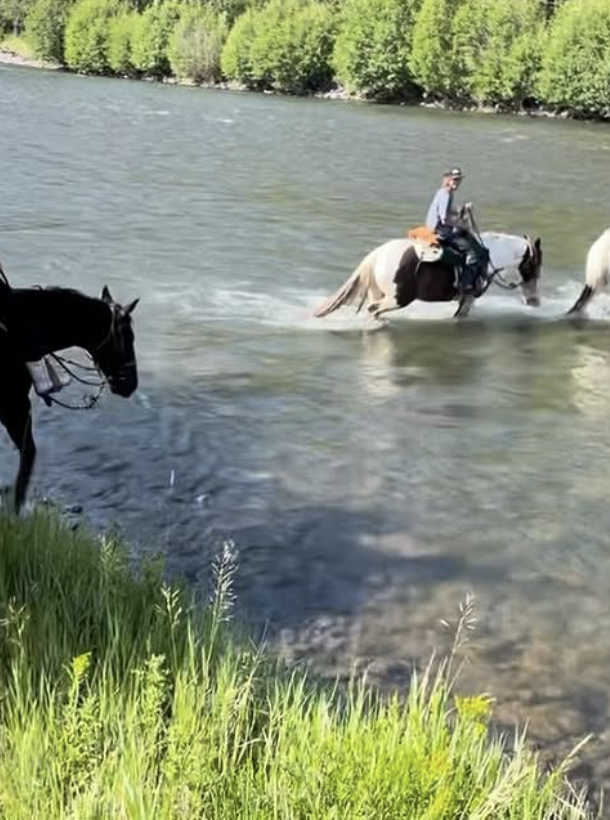 Screenshot 2025-04-16 at 9.45.16 AM.png