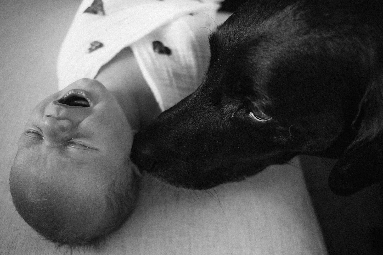 Baby Theodore-94_websize.jpg