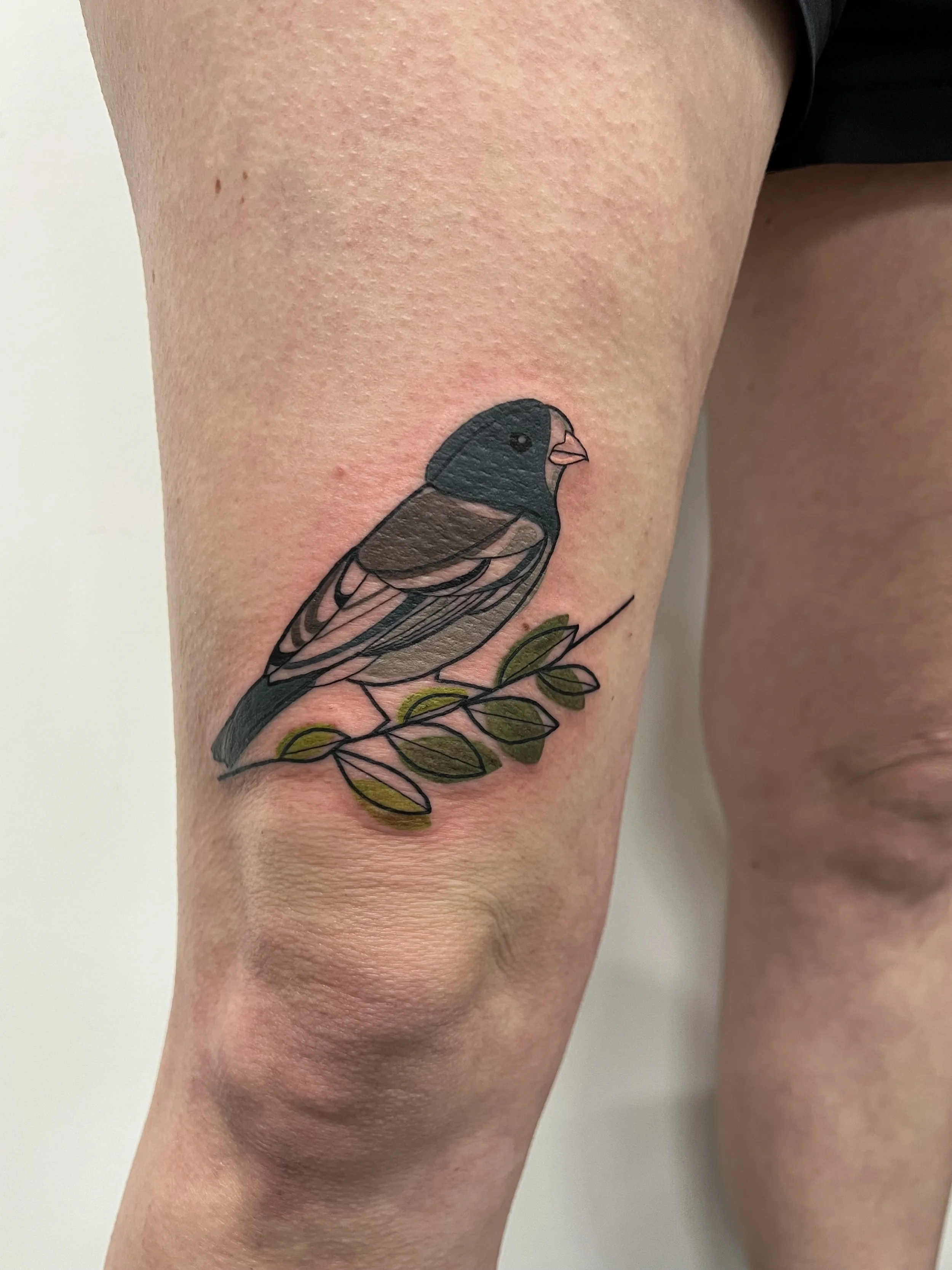 darkeyedjuncotattoo.jpeg
