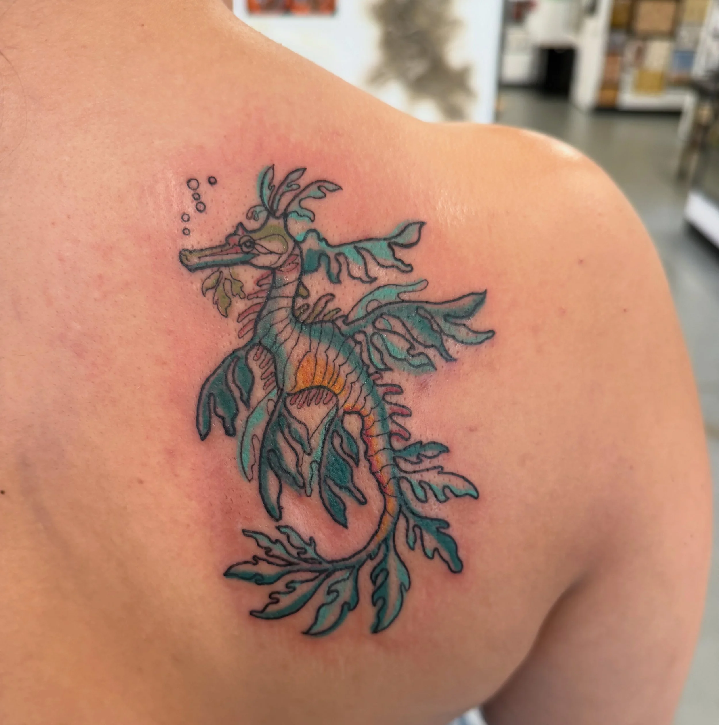 leafyseadragon.JPG