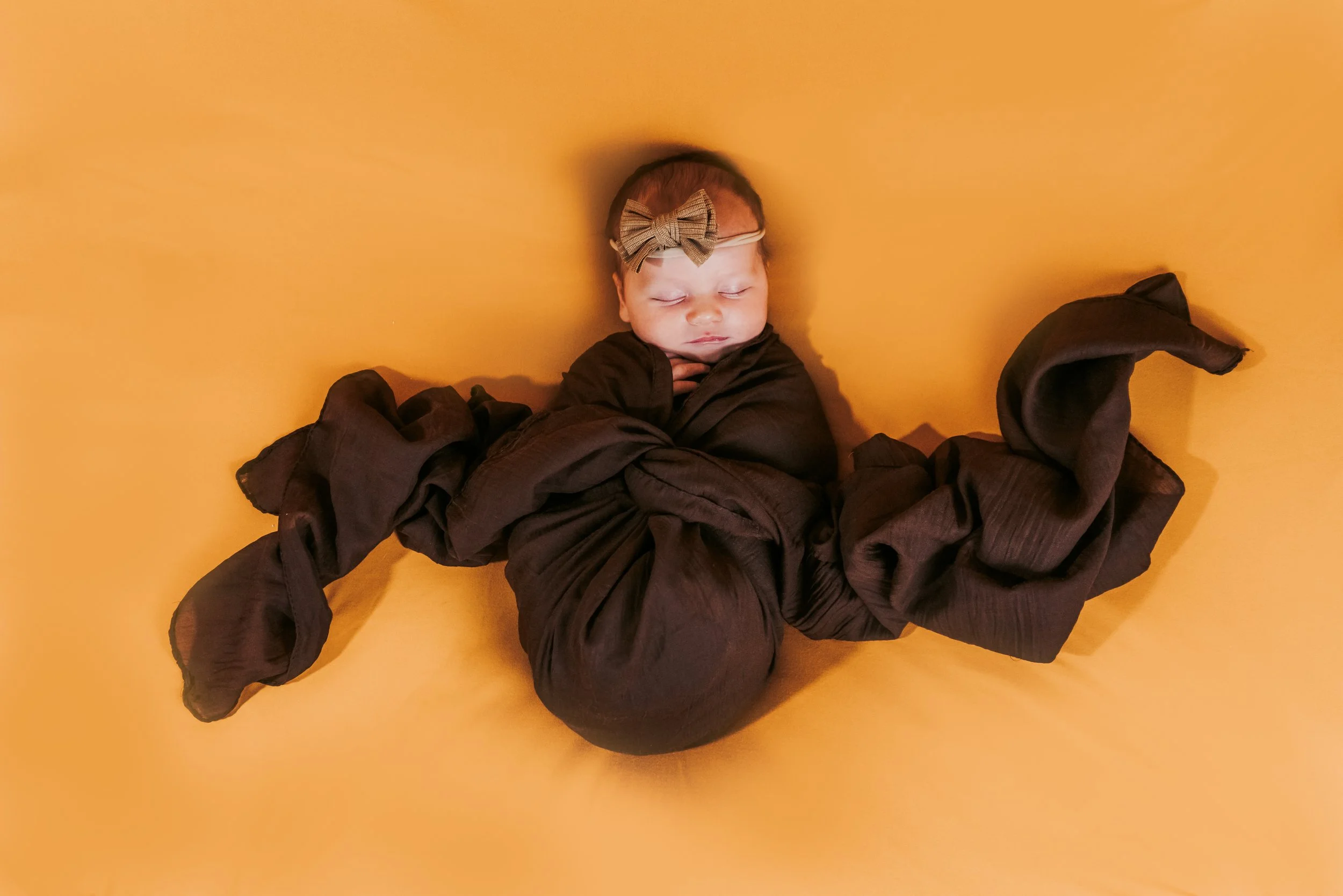 IMG08693-Edit.jpg