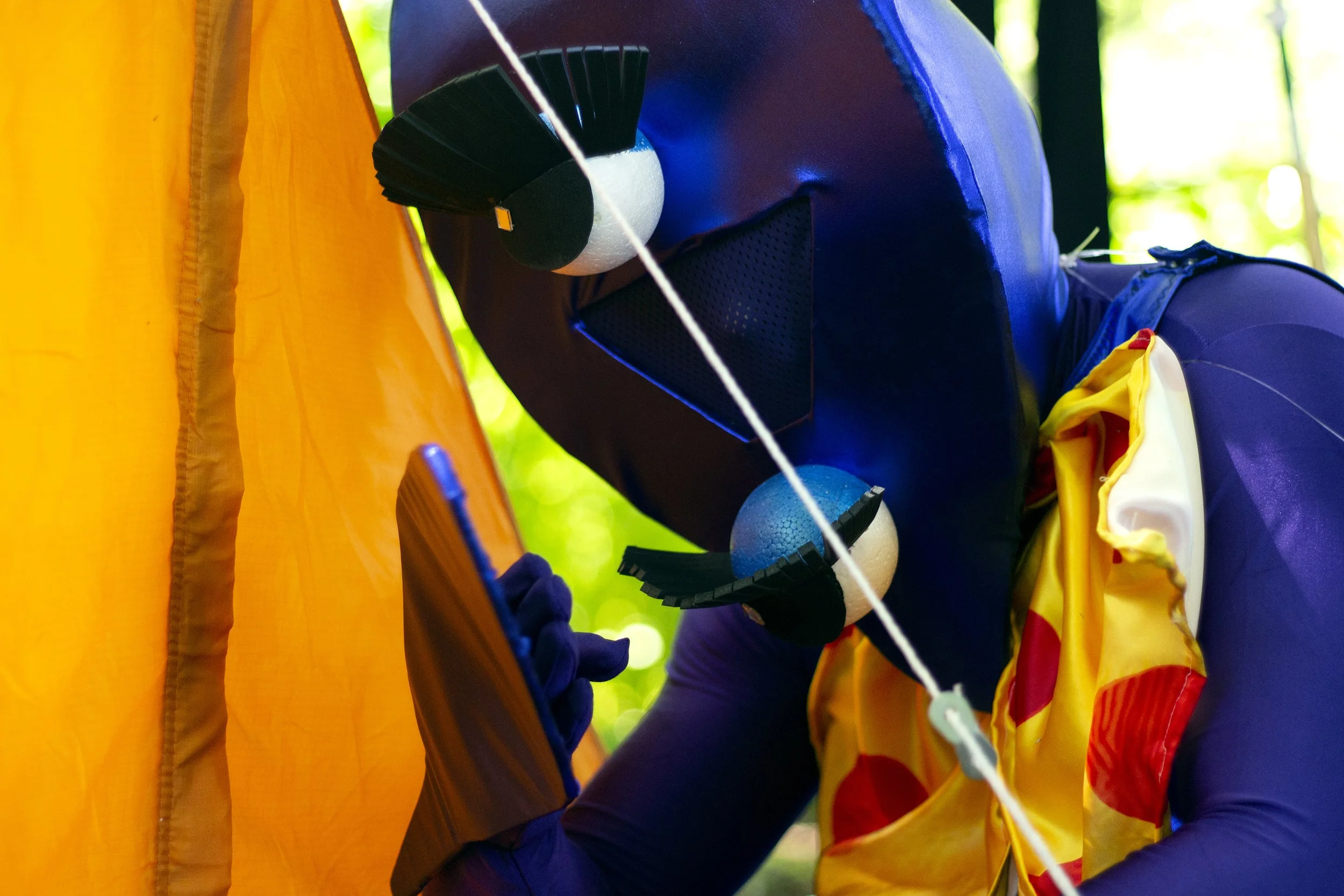 the unkown closeup .jpg