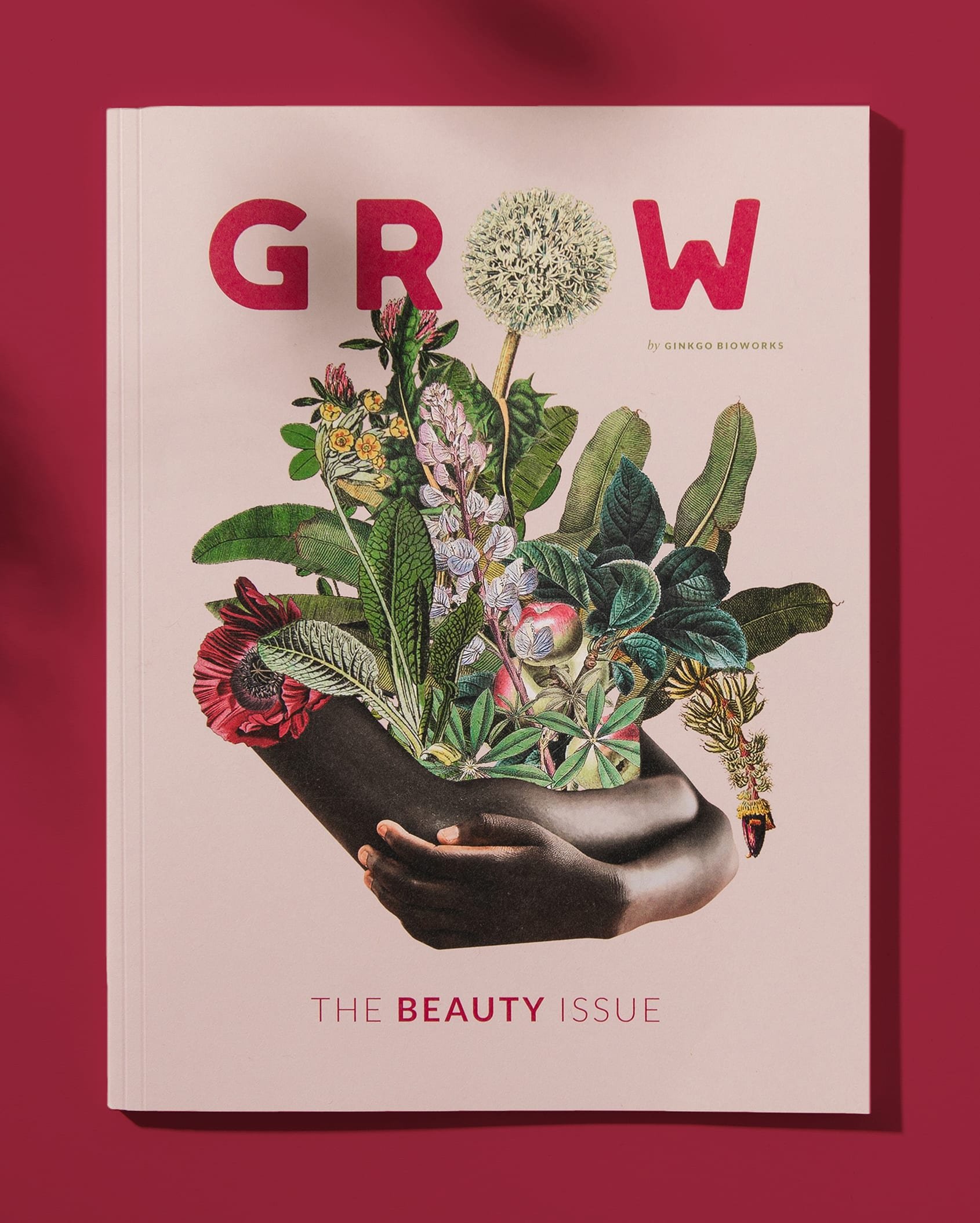 Grow Magazine
