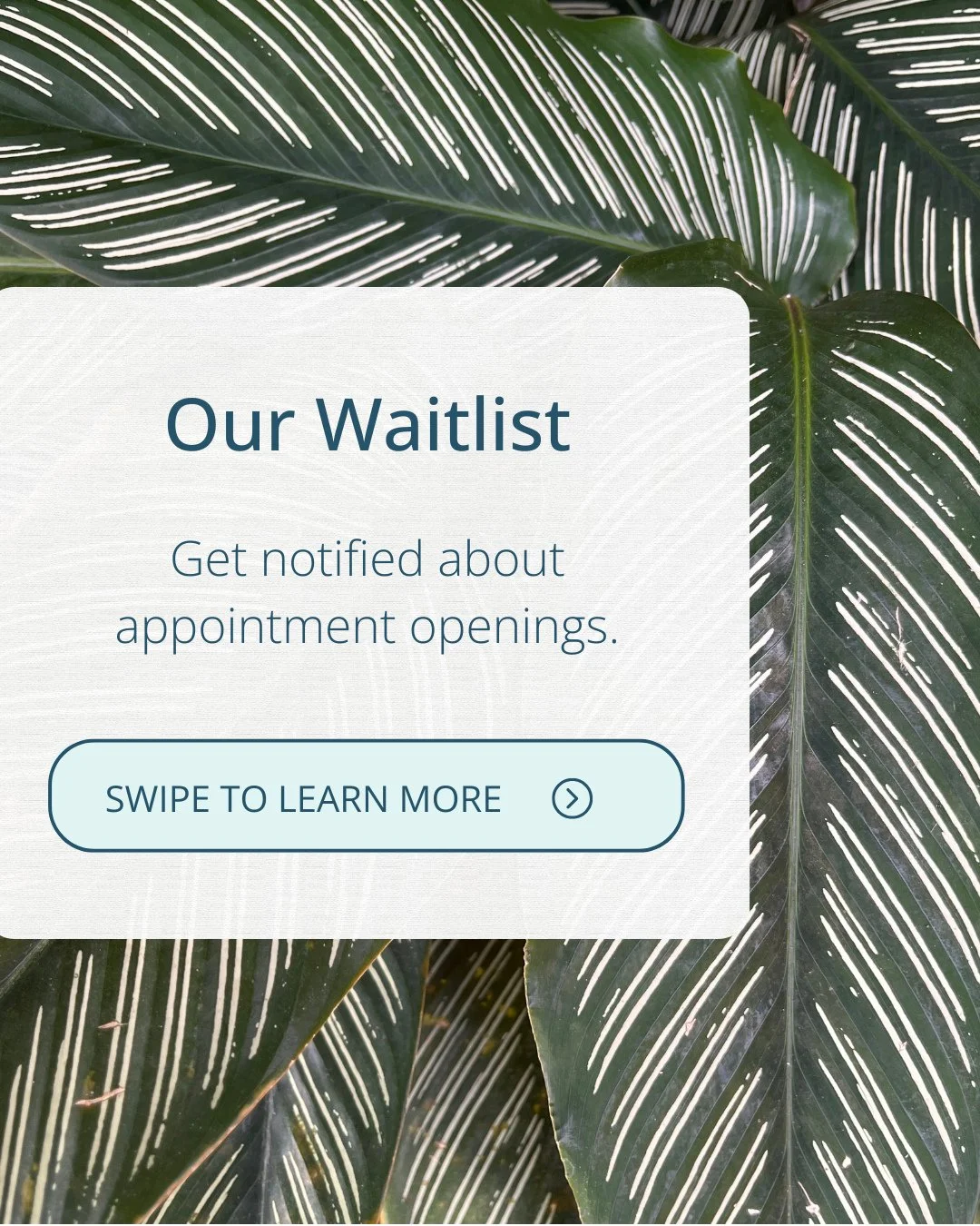 It's the busiest time of year for RMTs, and that means it can be harder to find open appointments 😥⁠
⁠
That's why we're highlighting our amazing waitlist feature! ✨⁠
⁠
When you add yourself to the waitlist, you automatically get notified if someone 