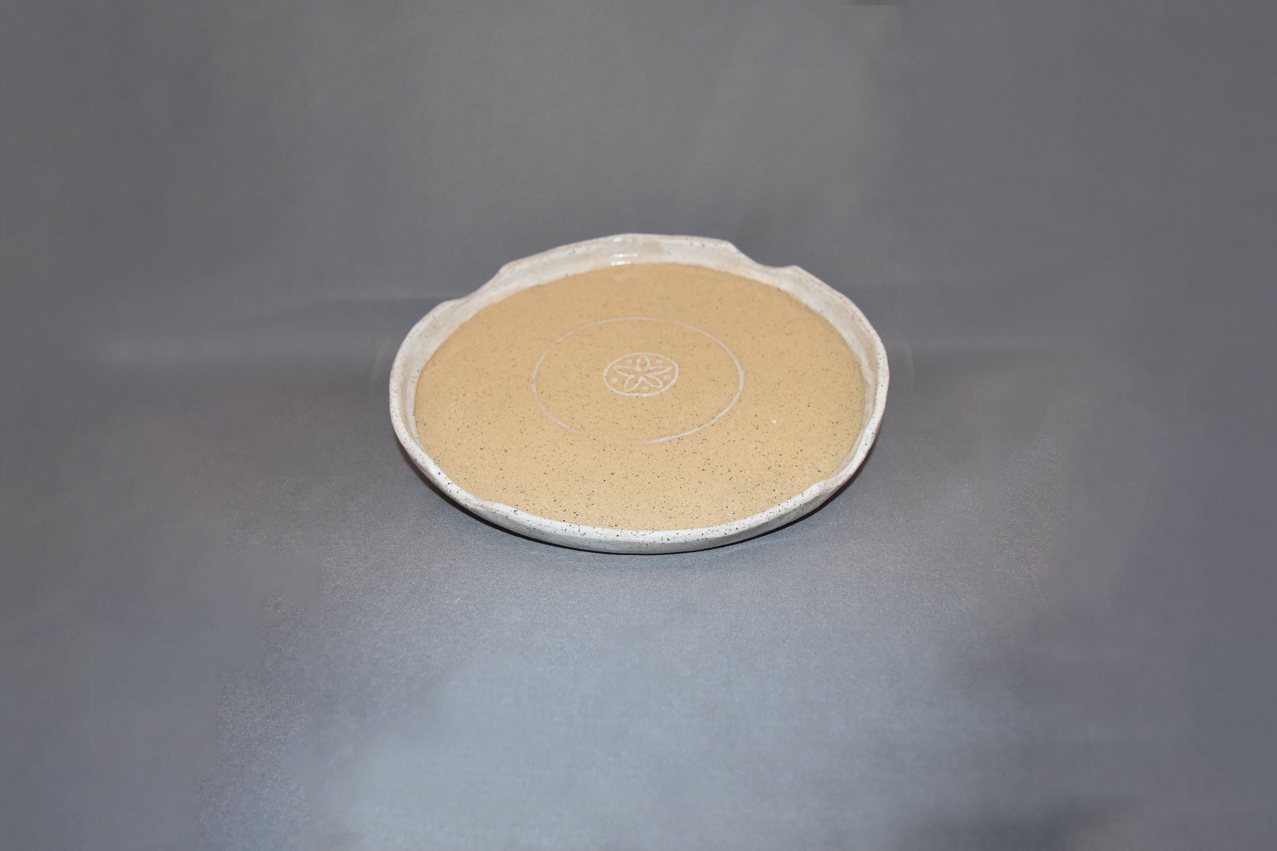 Dish_Tray_View2.jpg