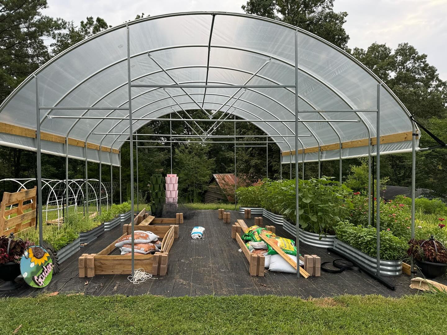 Greenhouse is pretty much finished. I&rsquo;ve got sunflowers almost ready so let me know if you want a bundle of 10 for $15