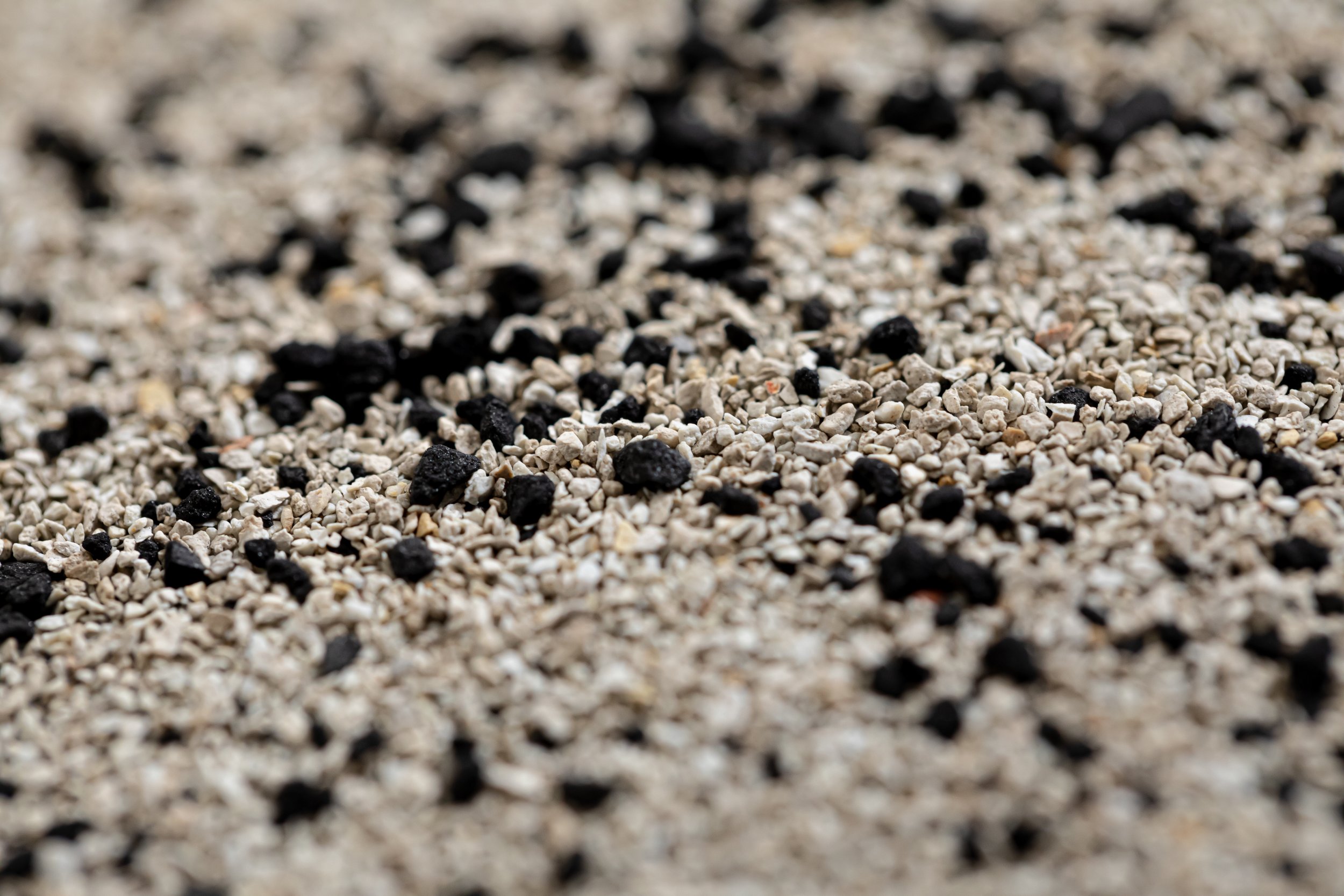 CR41_macro.jpg