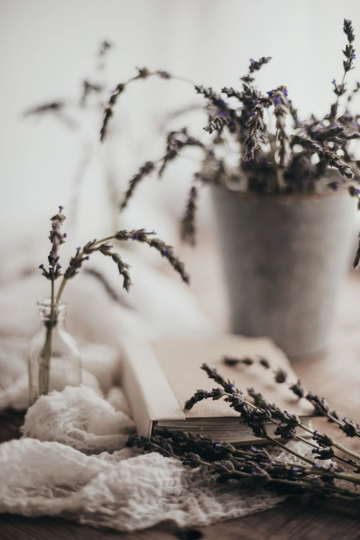 Online Texas Therapist | Eating Disorder Therapist | OCD Therapist | Anxiety Therapist