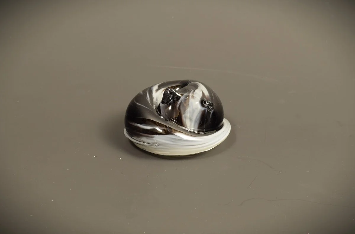 sleeping cat black grey.JPG