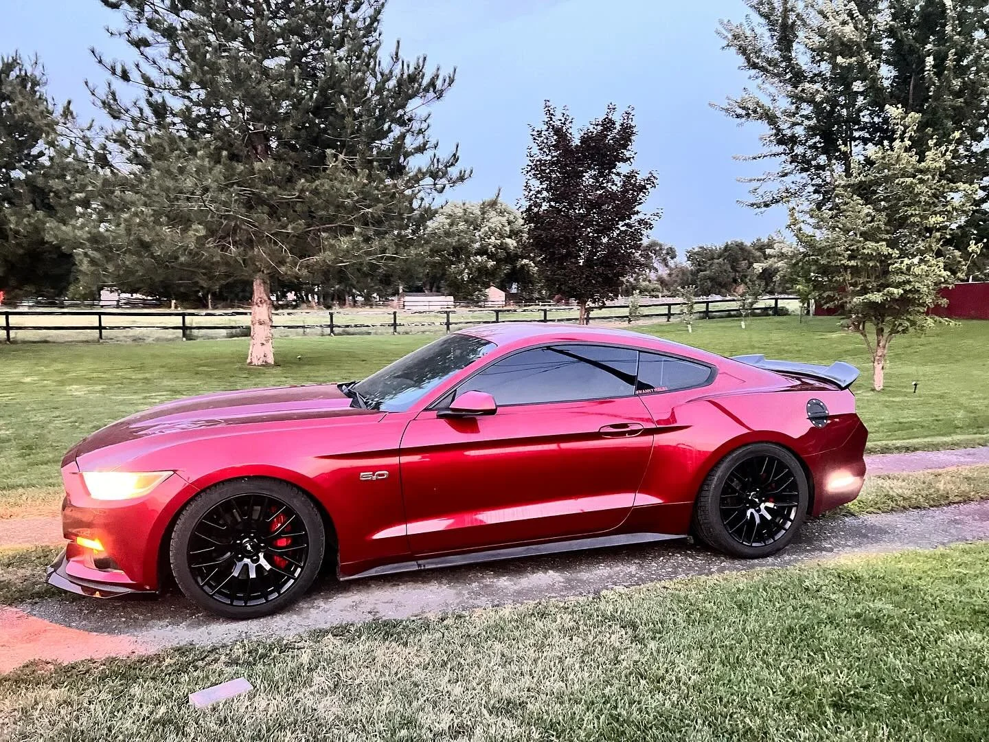 2015 Mustang GT in our Supreme Ceramic in 5% all around🏴#experienceexcellence