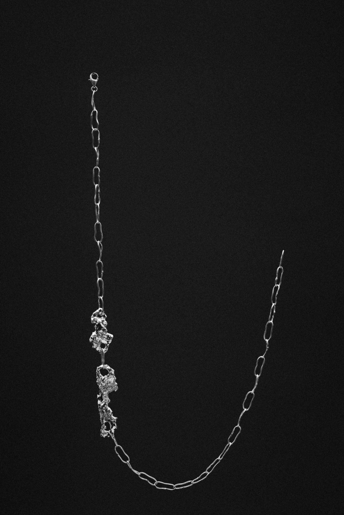 CReyes_260303_usnea26-19.jpg