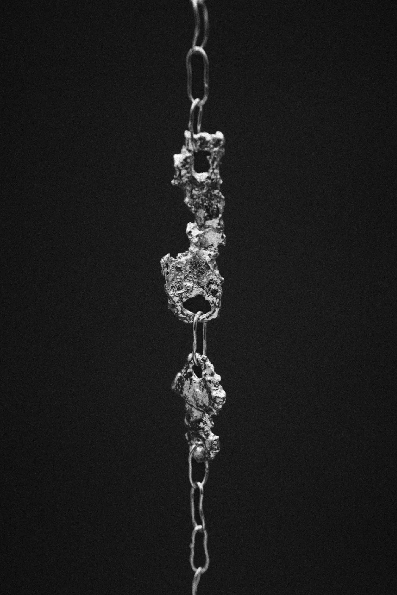 CReyes_260303_usnea26-18.jpg