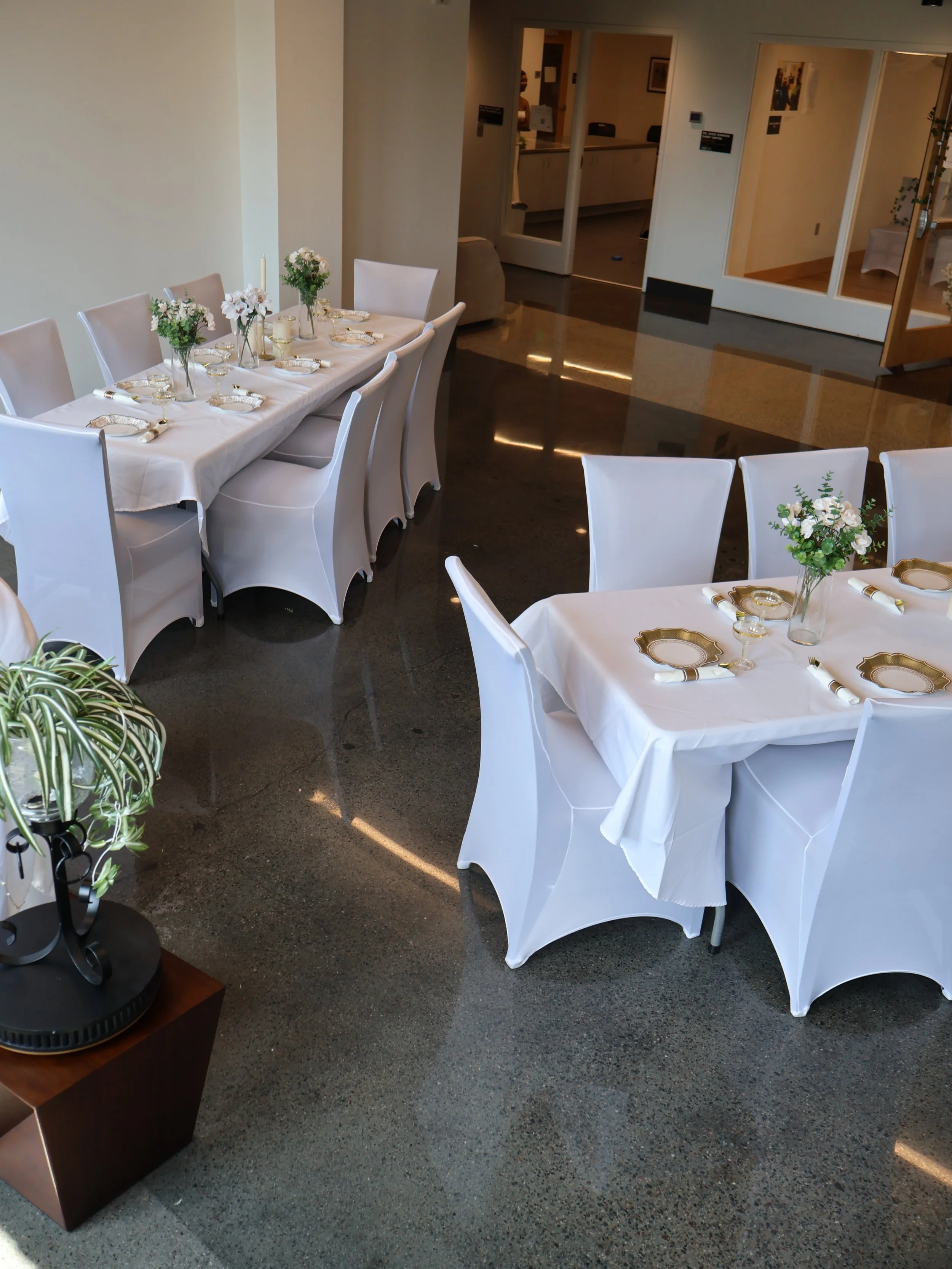 IMG_3380.JPG