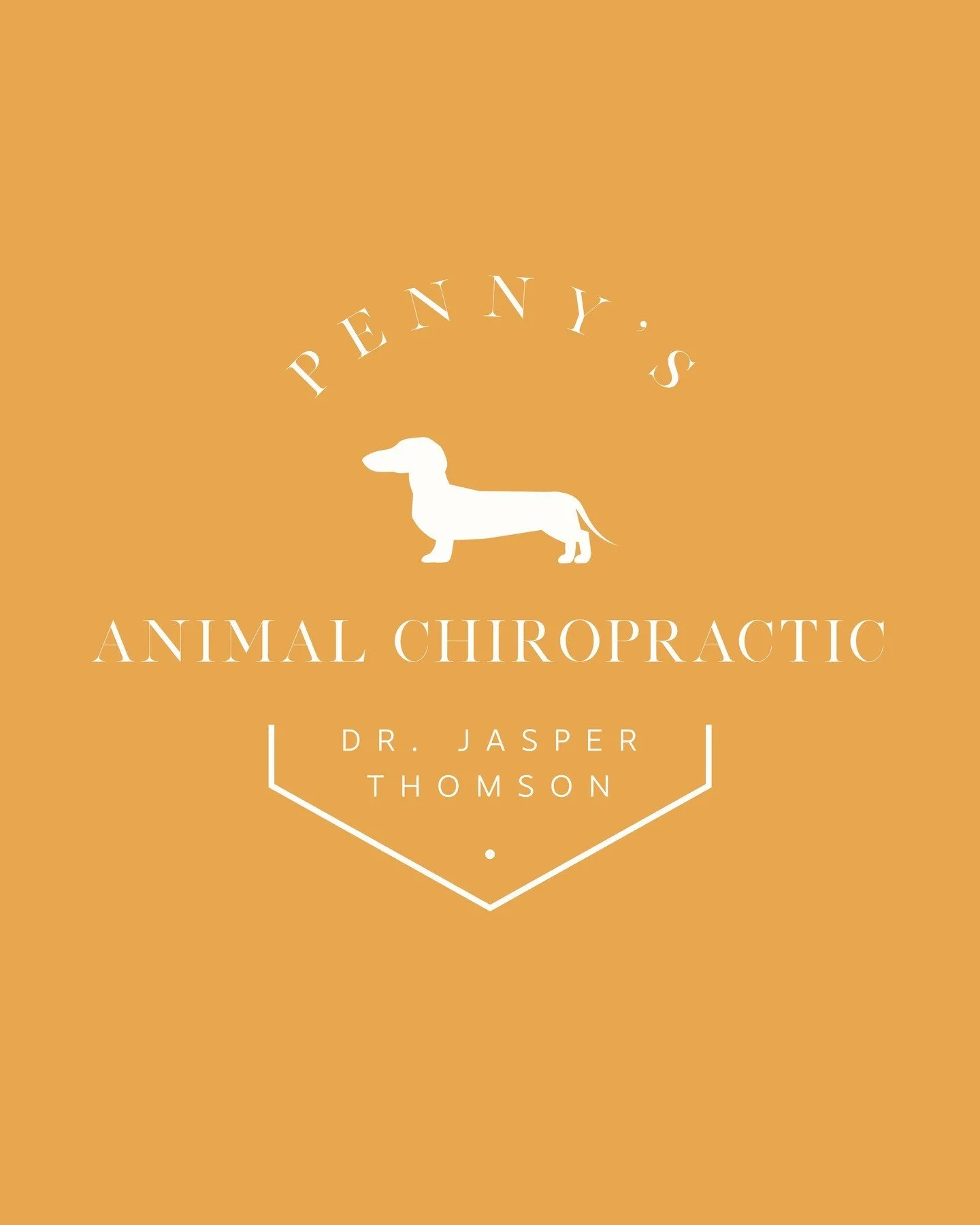 🐾✨ We're thrilled to share the transformation we created for Penny's Animal Chiropractic, serving the Barrie and Midland, ON areas! 🐶🐱⁠
⁠
From a brand-new logo suite, colour palette, stationary and more, to a stunning website, we crafted a look th