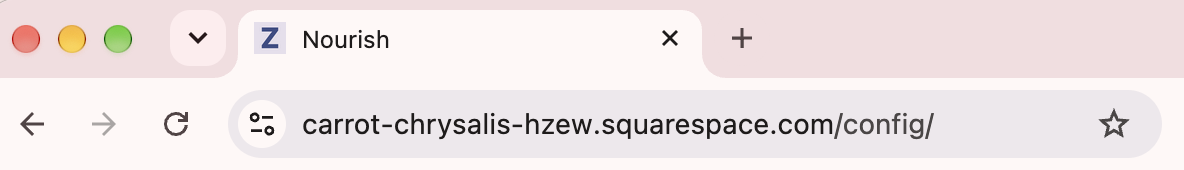 Screenshot showing the favicon of the letter Z that was created earlier in this post, displayed in a browser tab