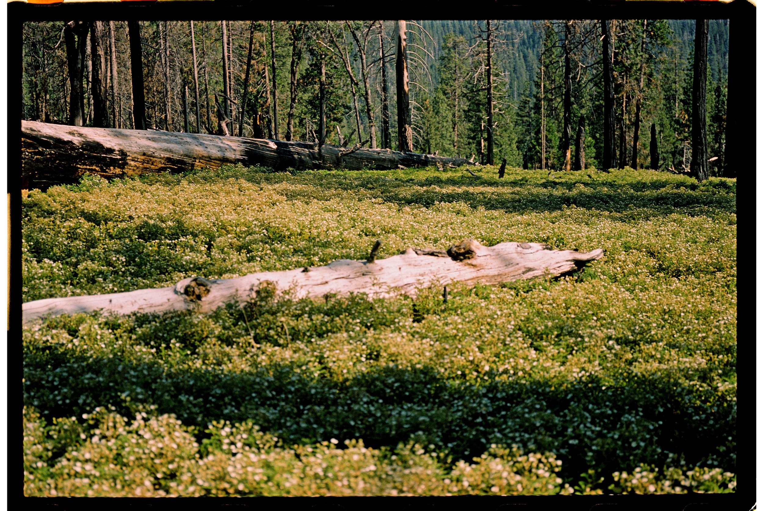 77711971-30918-2.jpg