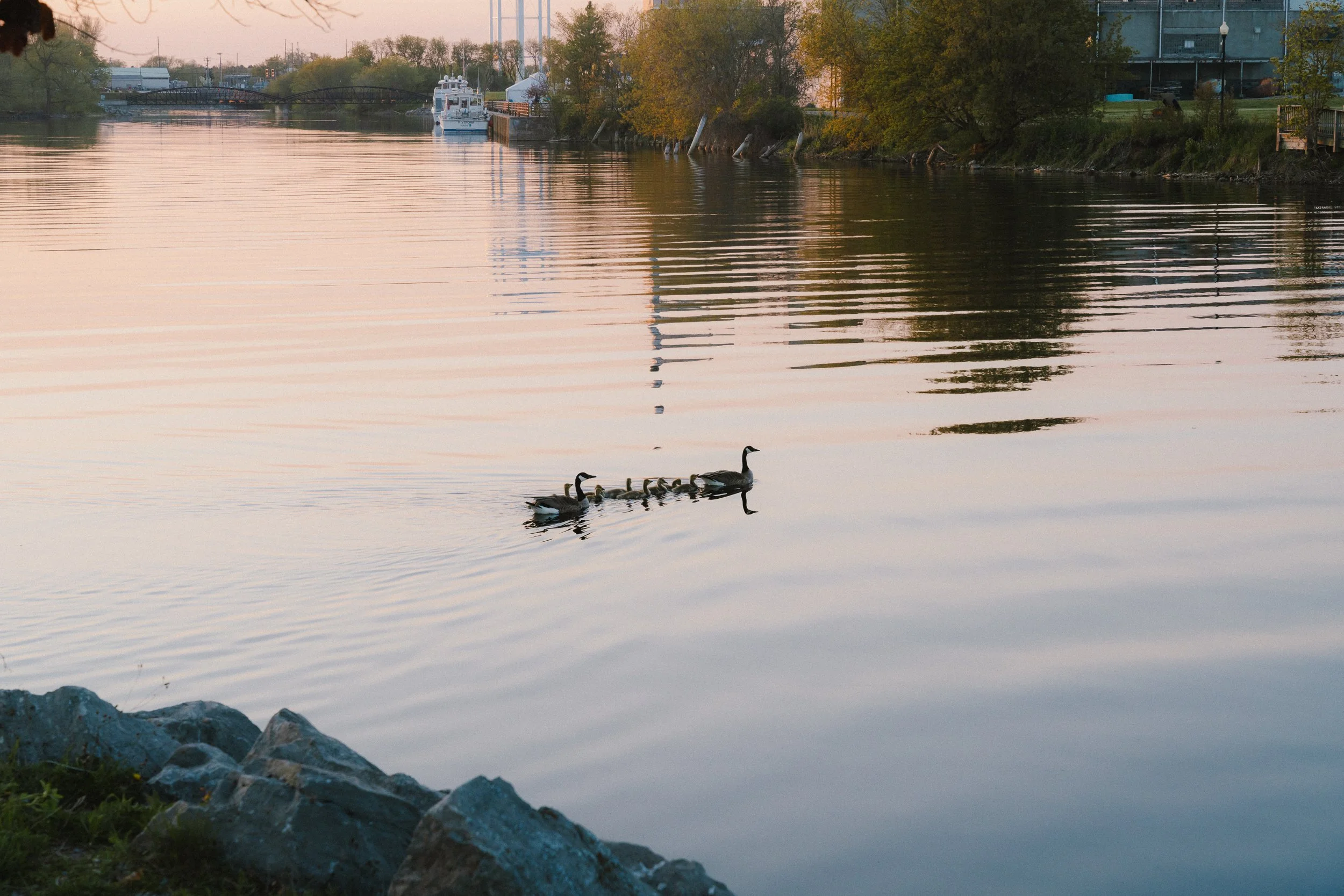 lastsummer (17 of 117).jpg