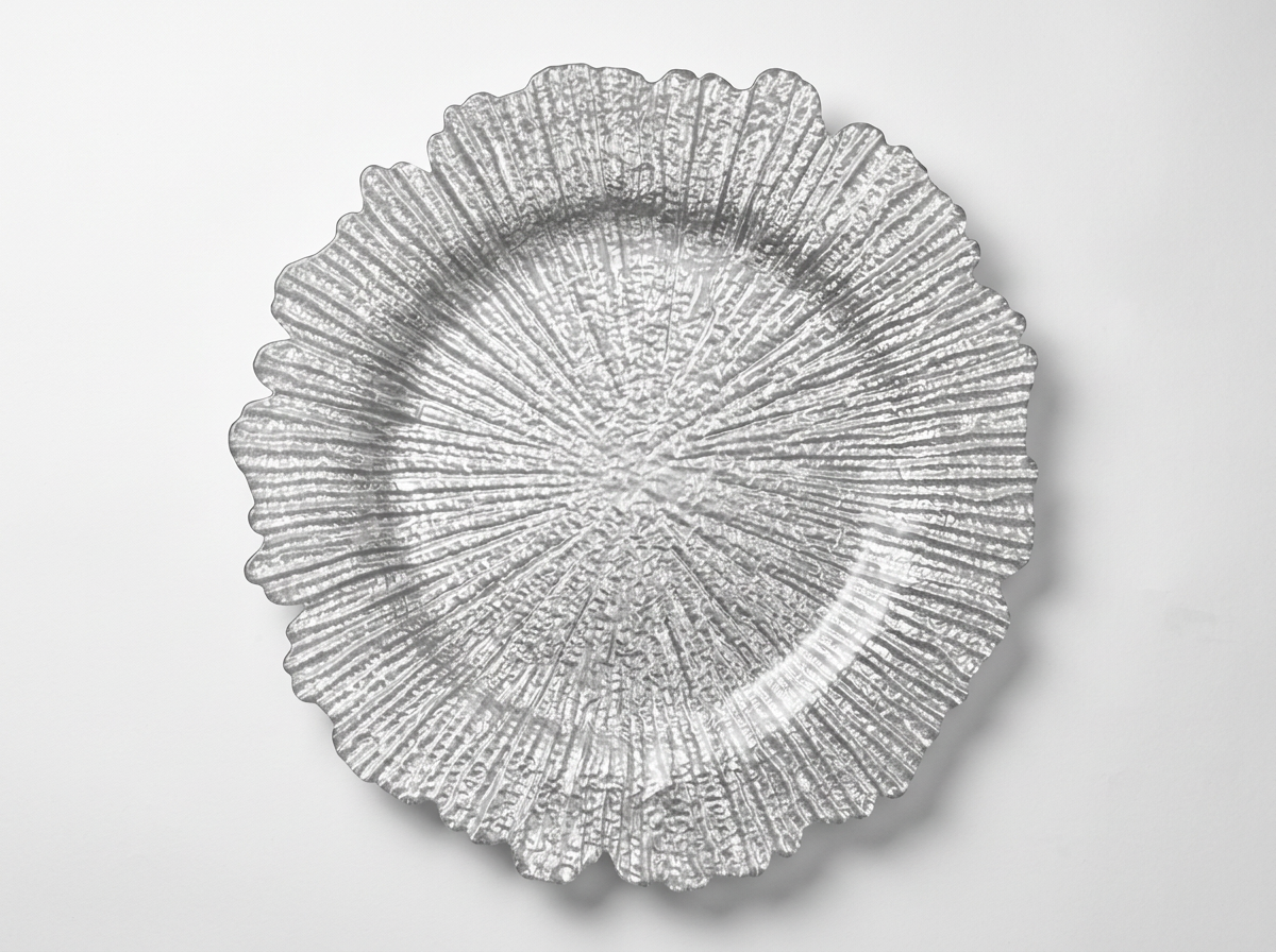 Reef Charger Silver