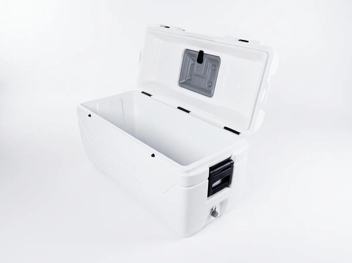 imgg-rv7-l9dvev6i.png
