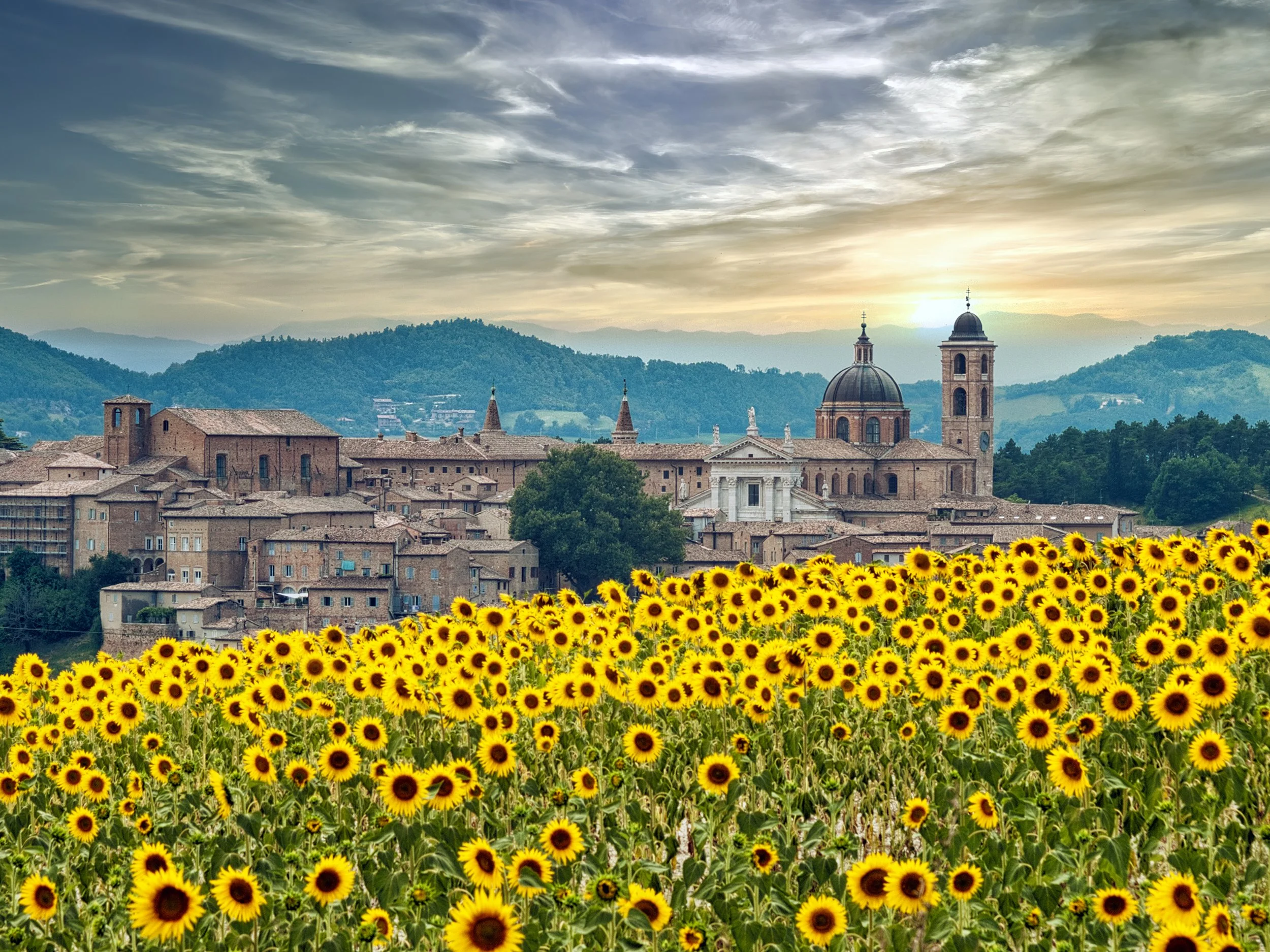 A picturesque view of a small European town with historic stone buildings and church towers, set against rolling green hills and mountains, with a field of blooming sunflowers in the foreground and a partly cloudy sky at sunset.