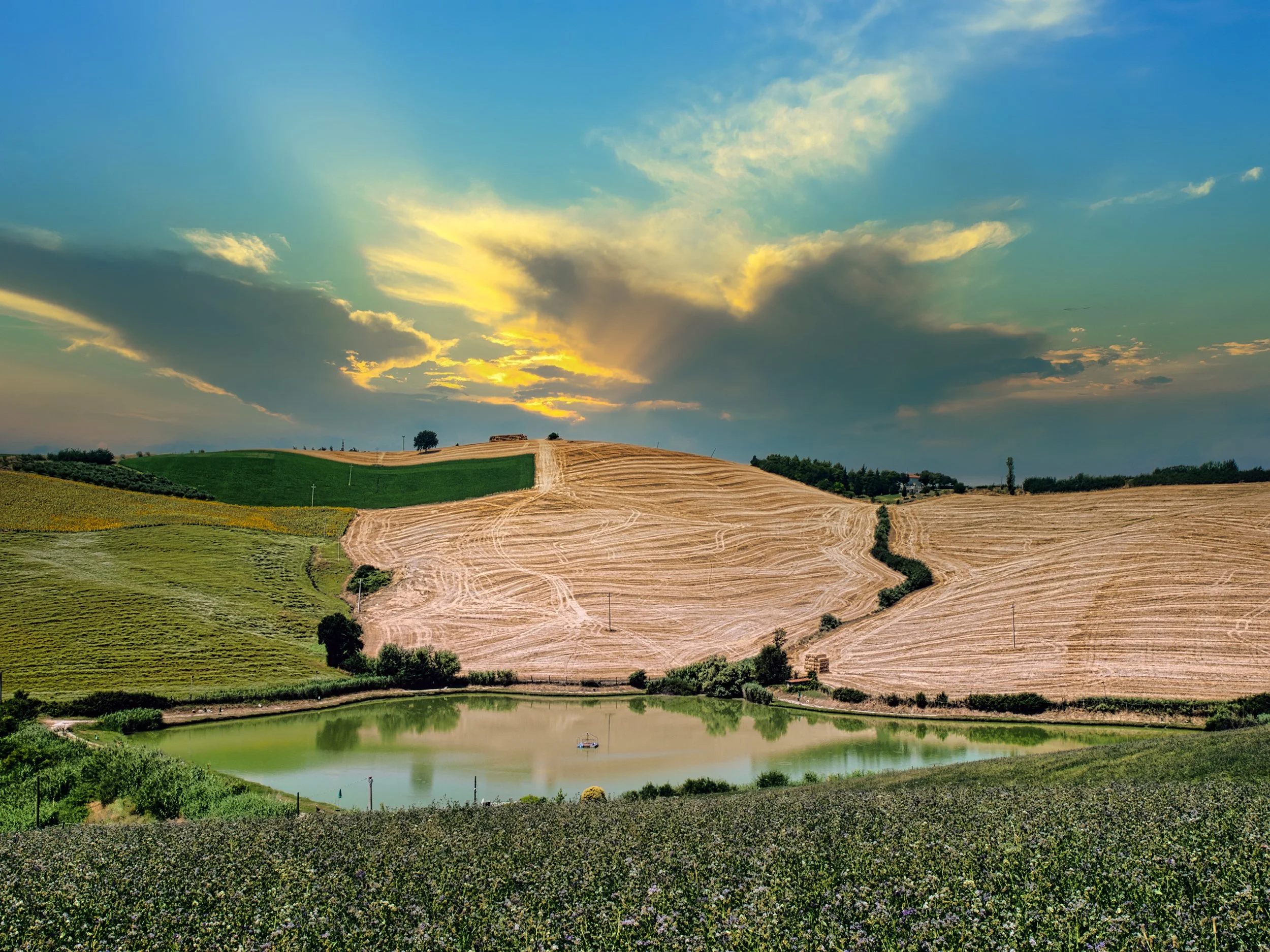 Scenic view of rolling hills with fields of crops, a small pond, and a sky with scattered clouds and a setting sun.