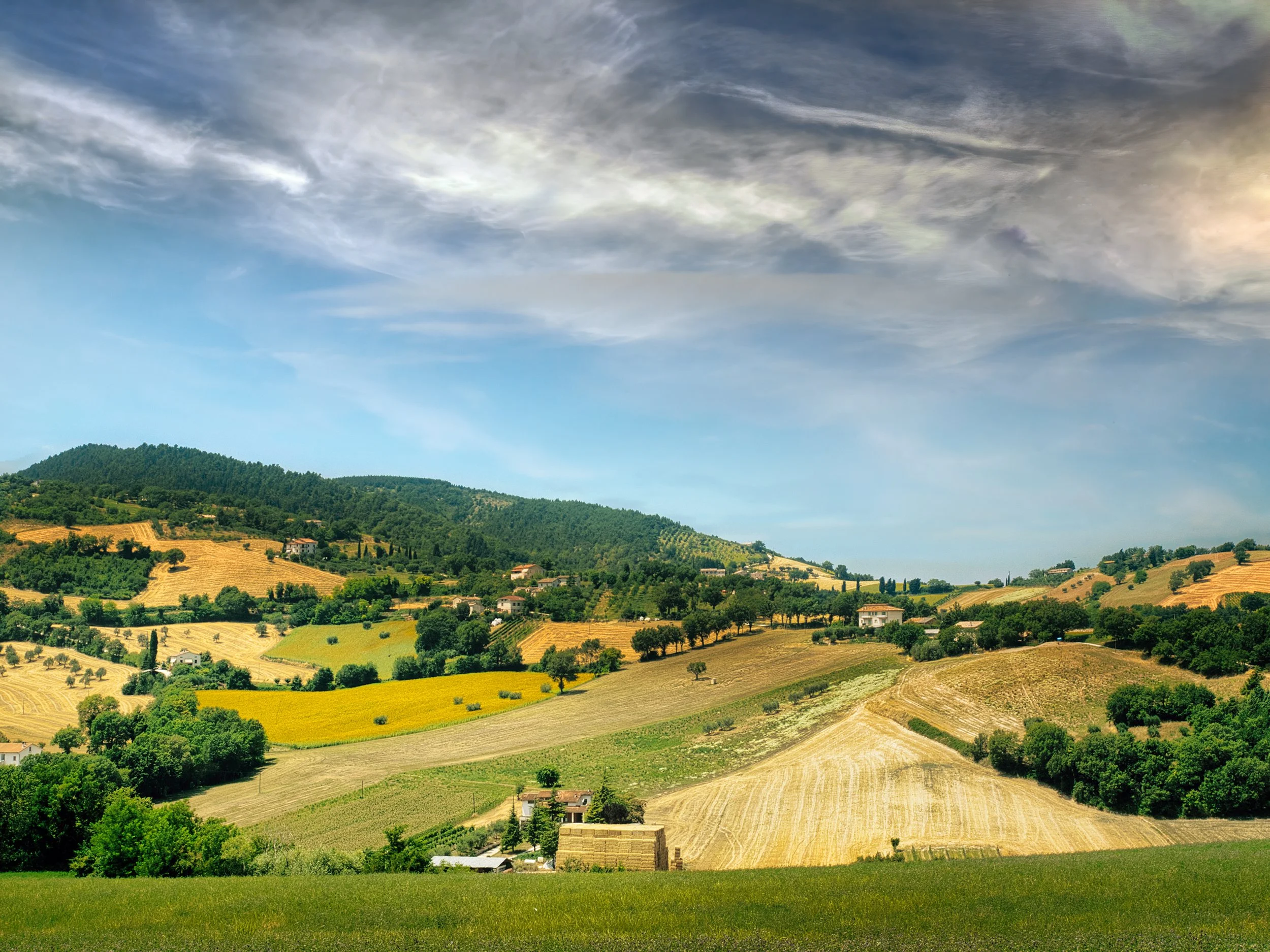 Golden hills #193
The Marche, Italy