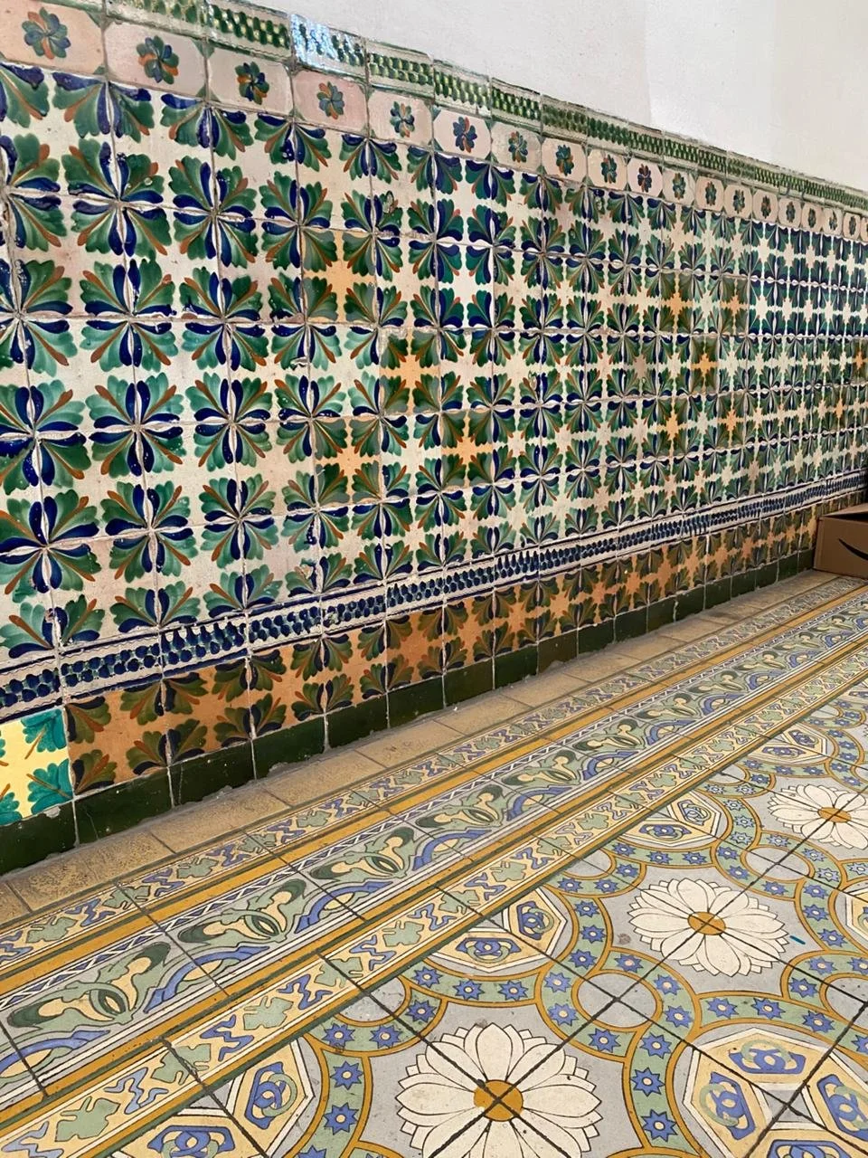 WhatsApp Image 2025-12-01 at 3.03.14 PM.jpeg