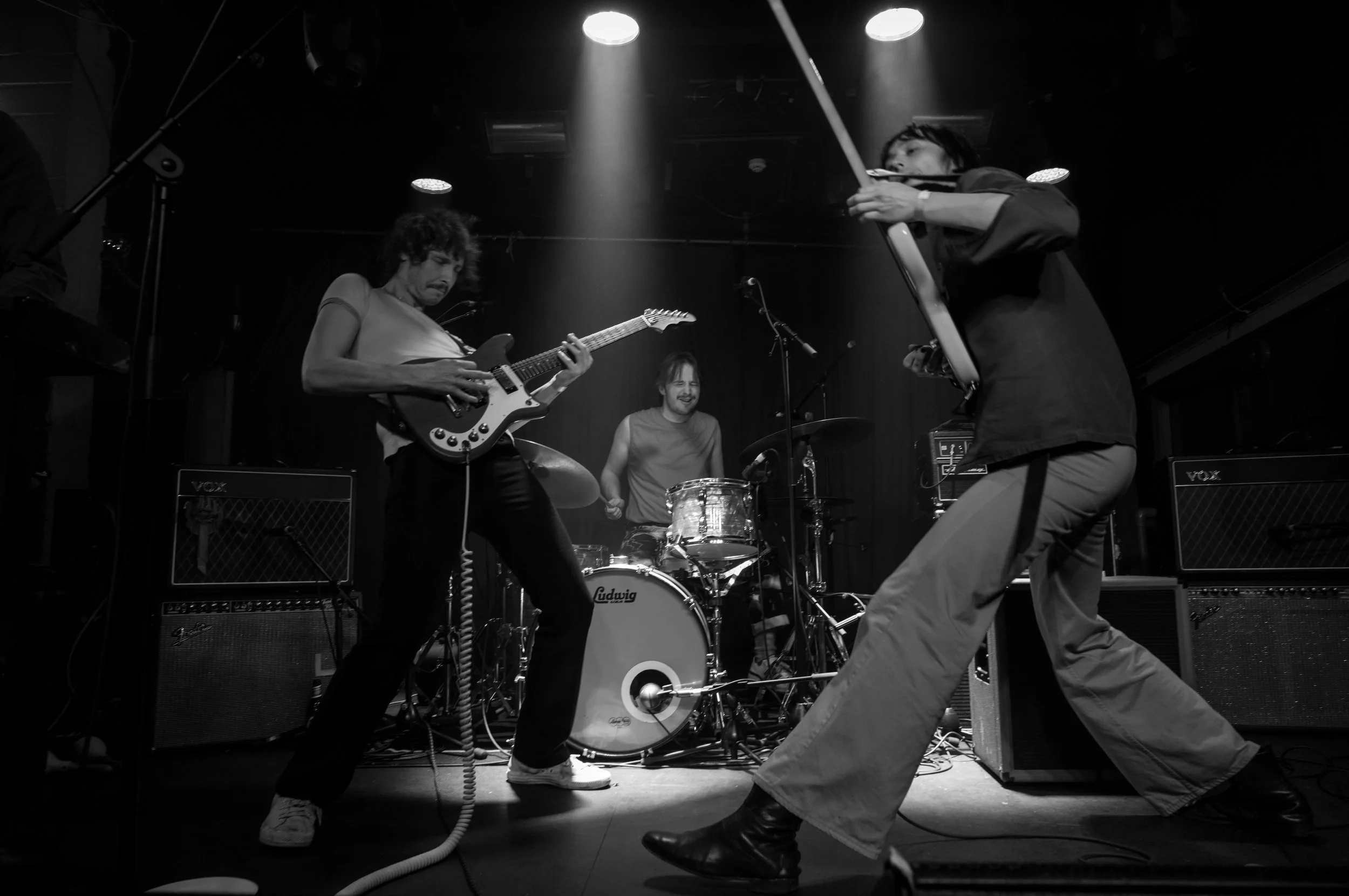 Floral Image, Dingwalls, 28 Nov