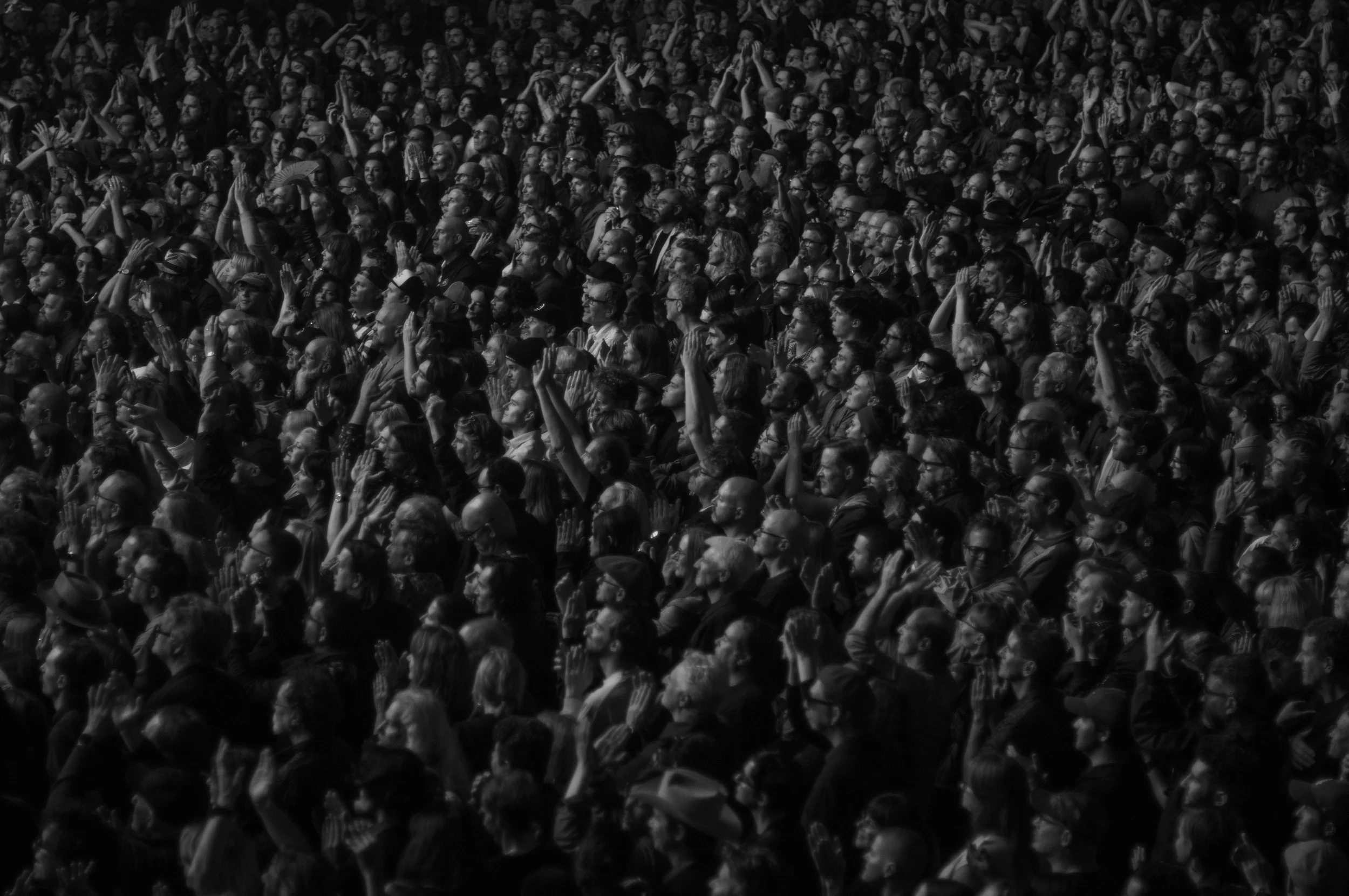 Favorites from 2025 - the fans