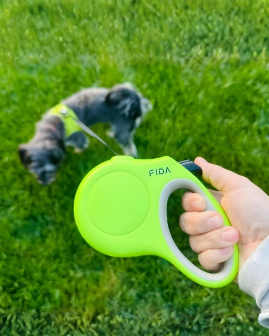 FIDA retractable dog leash in neon lime-green with an ergonomic handle, held by a hand, with a small grey dog wearing a matching lime-green harness standing on a grassy field in the background.