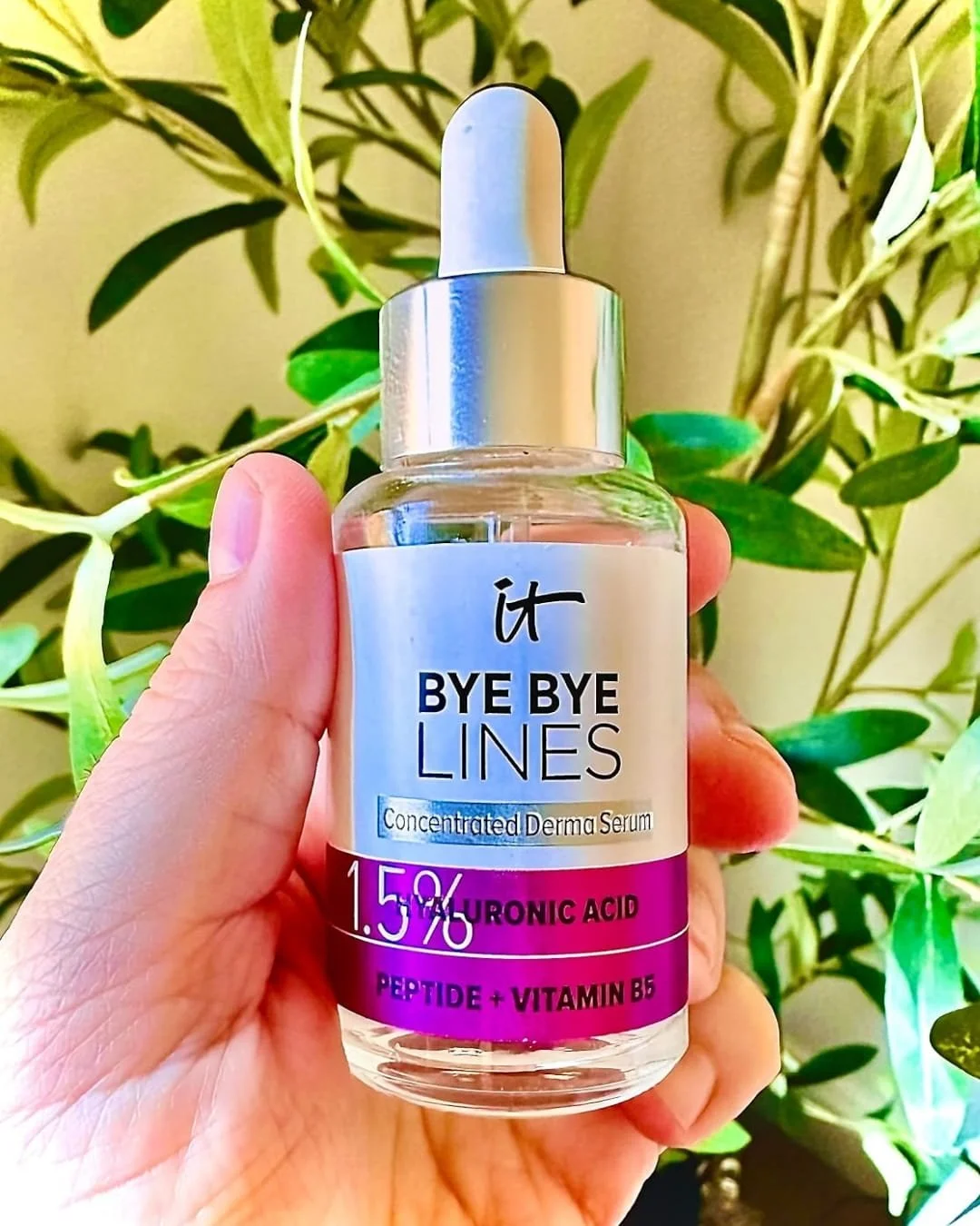 Hand holding a bottle of IT Cosmetics Bye Bye Lines Concentrated Derma Serum with 1.5% Hyaluronic Acid, Peptide, and Vitamin B5, set against a warm, sunlit background with green foliage.