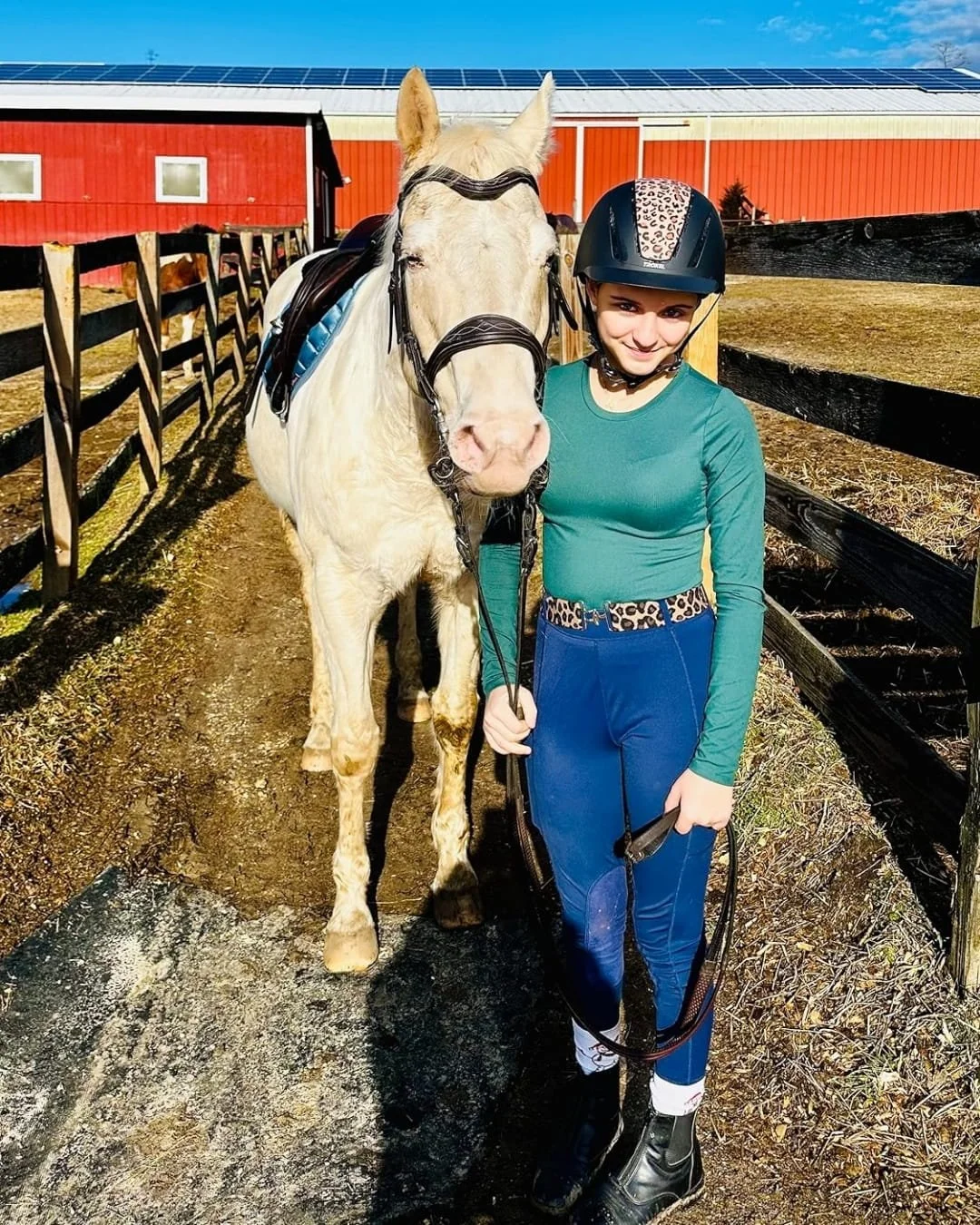 Young female rider wearing a black Troxel horse riding helmet with a cheetah-print panel, standing beside a cream-colored horse on a sunny day at a farm with red barns, a wooden fence, and solar panels in the background