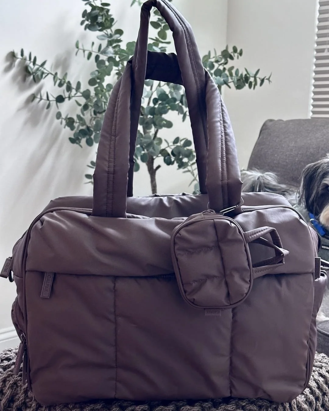 Mauve quilted CALPAK Luka Duffel bag with padded handles and a matching accessory pouch, displayed on a chunky knit surface with a green potted plant, gray sofa, and a dog peeking in the background.