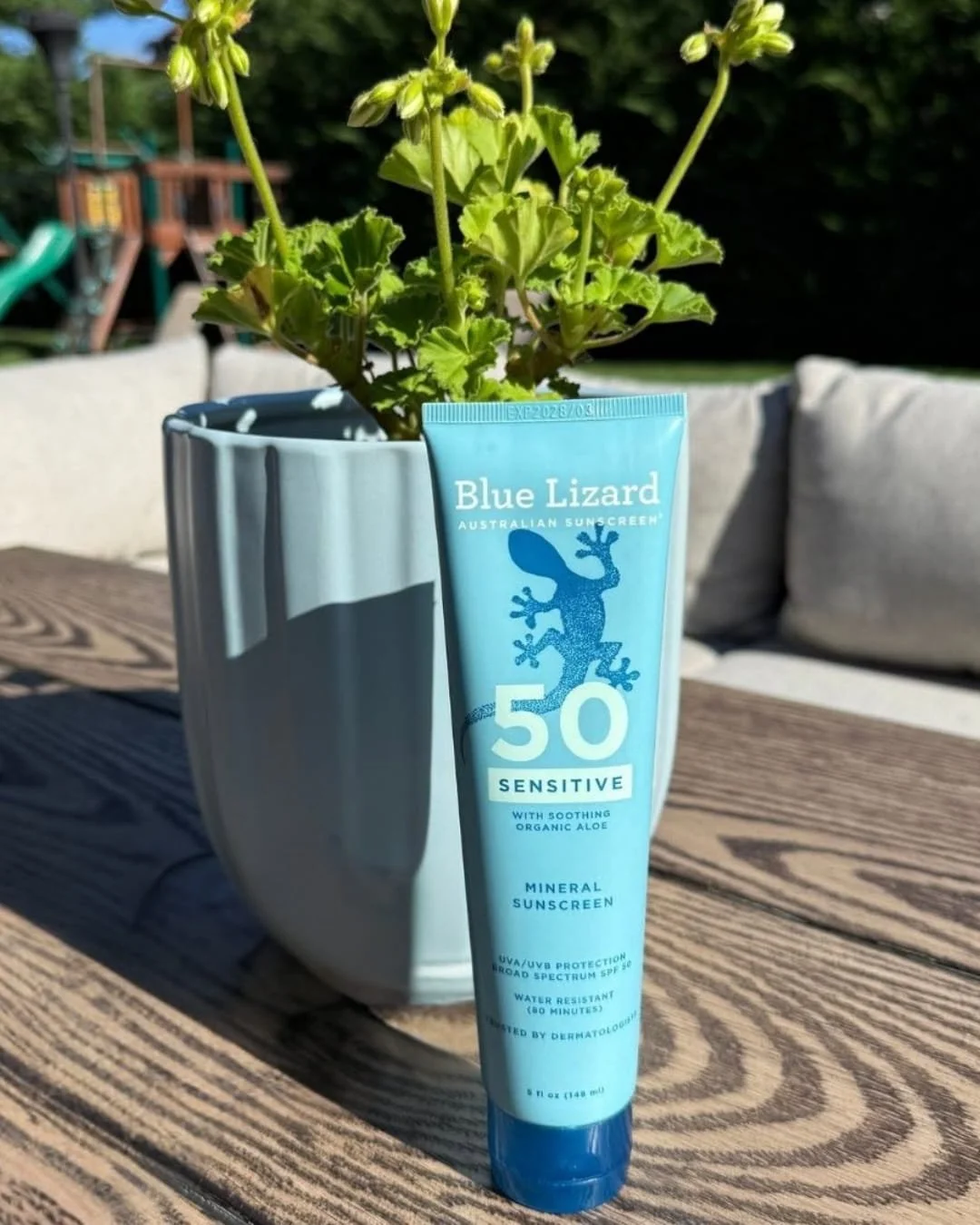 Blue Lizard Mineral Sunscreen SPF 50 tube standing on outdoor table beside potted plant.