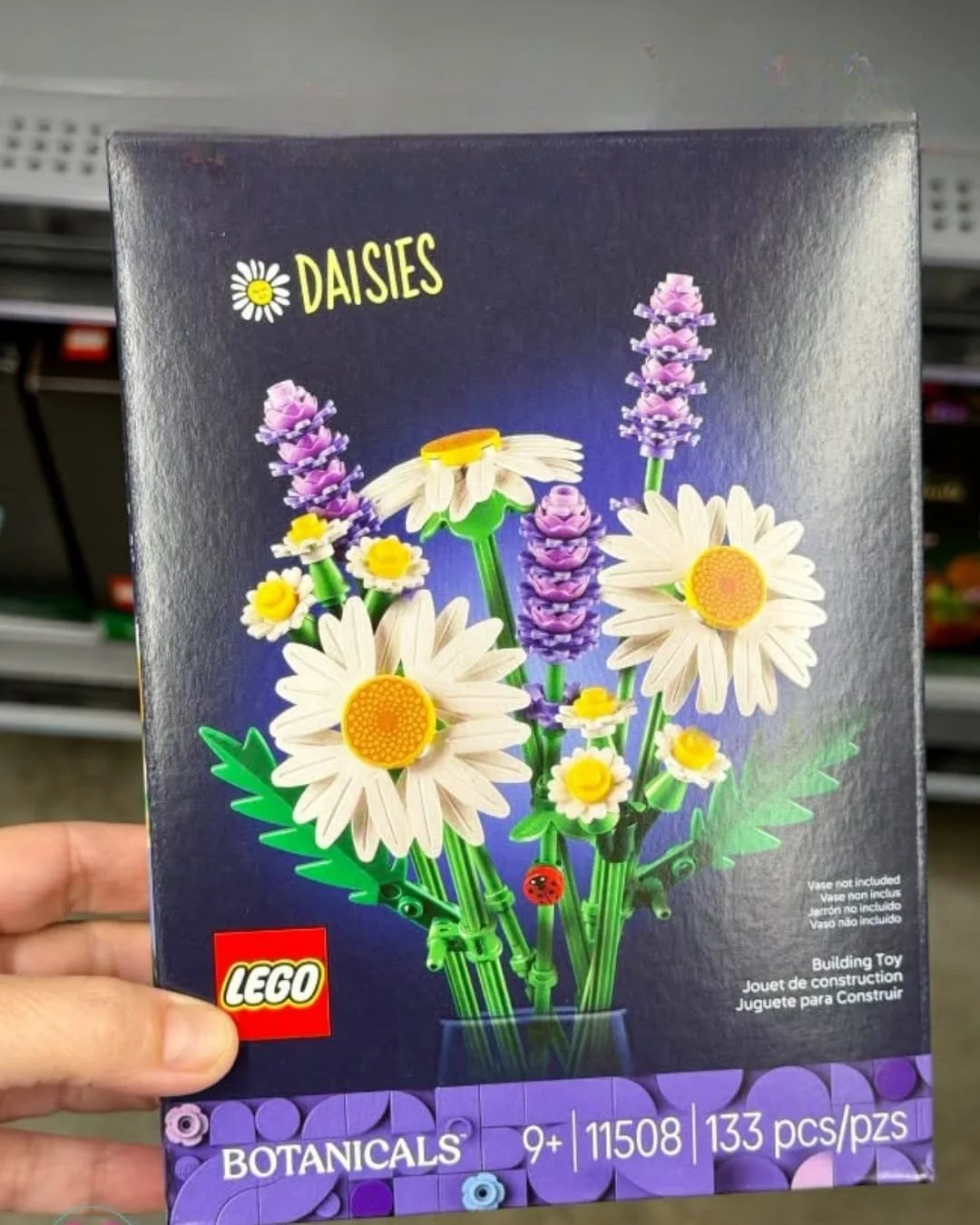 LEGO Botanicals Daisies building set box featuring white daisy flowers, purple stems, and green leaves in a decorative arrangement