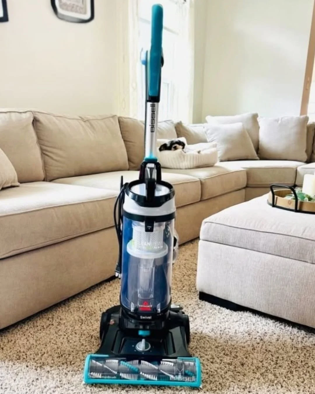 BISSELL upright vacuum cleaner on a shag rug in a living room with a beige sectional sofa and a small dog in the background