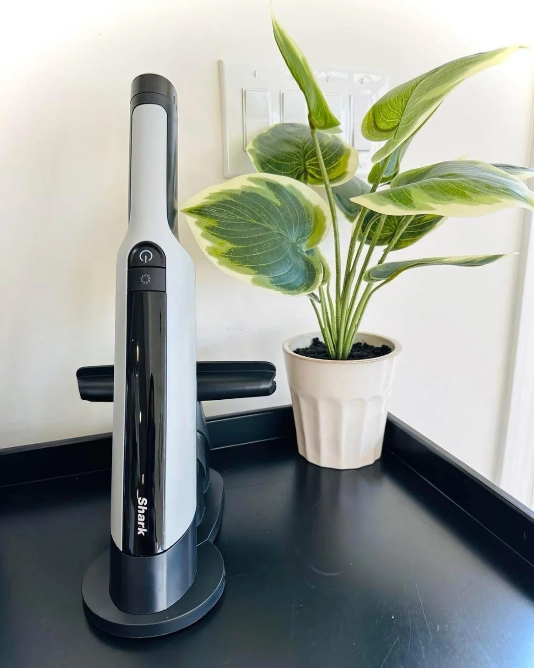 Shark handheld vacuum cleaner in a modern home setup, placed next to a potted plant on a dark tray with a clean white backdrop.