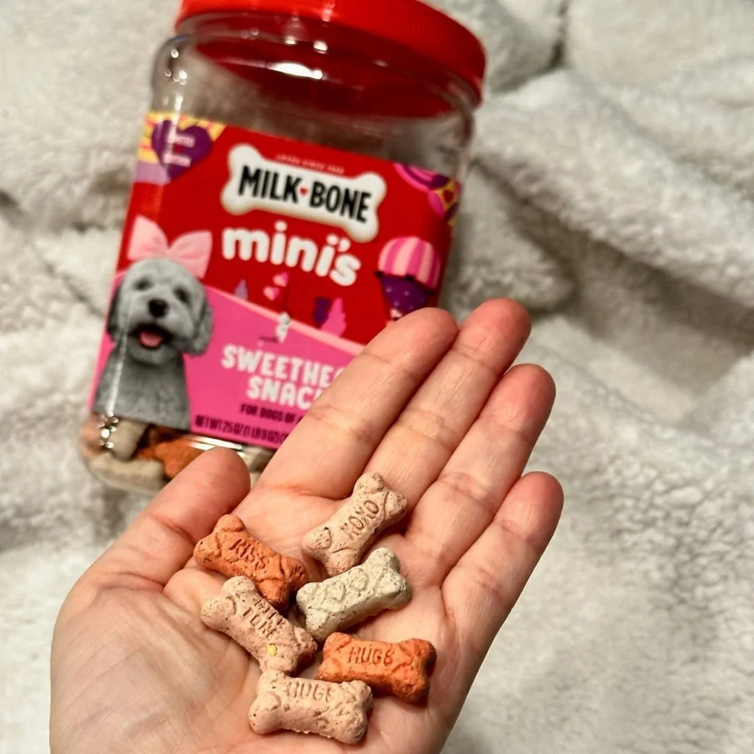 Milk-Bone mini's Sweetheart Snacks for dogs, bone-shaped treats with embossed messages like 'KISS' and 'XOXO,' held in a hand with the product container in the background.