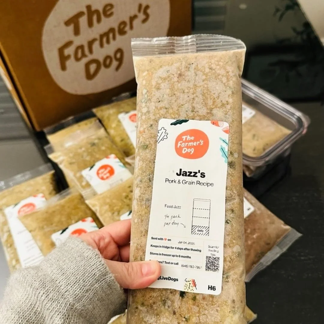 The Farmer's Dog Pork & Grain Recipe pet food pouch with personalized label for Jazz, held by a hand in a cozy sweater, with an open delivery box and additional pouches in the background.