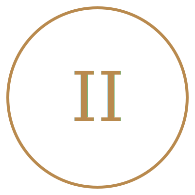 Roman numeral II inside a black circle with a gold border.