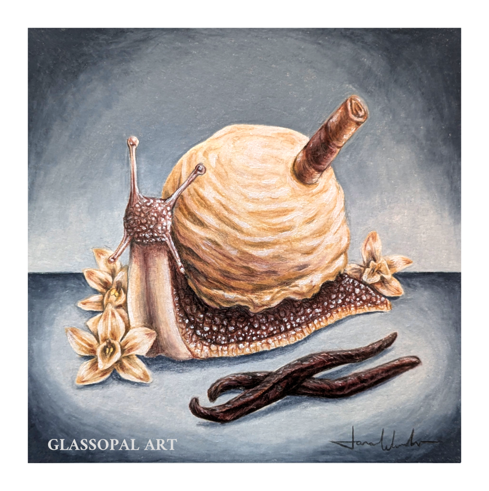 vanille mit rand.png