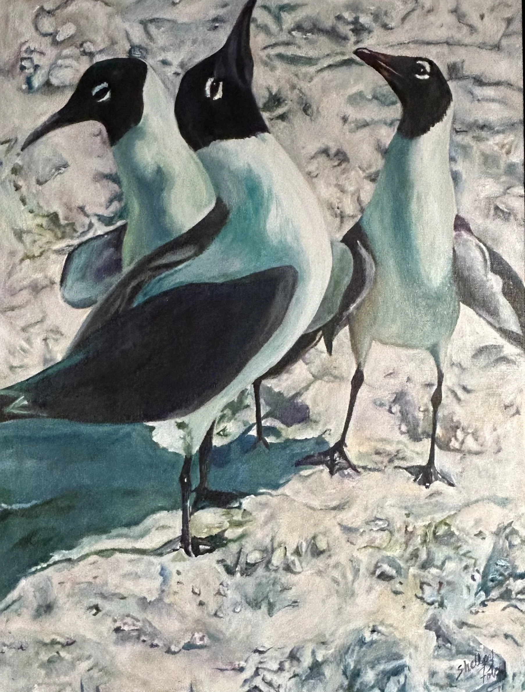 A painting of three seagulls standing on rocky ground with a textured background.