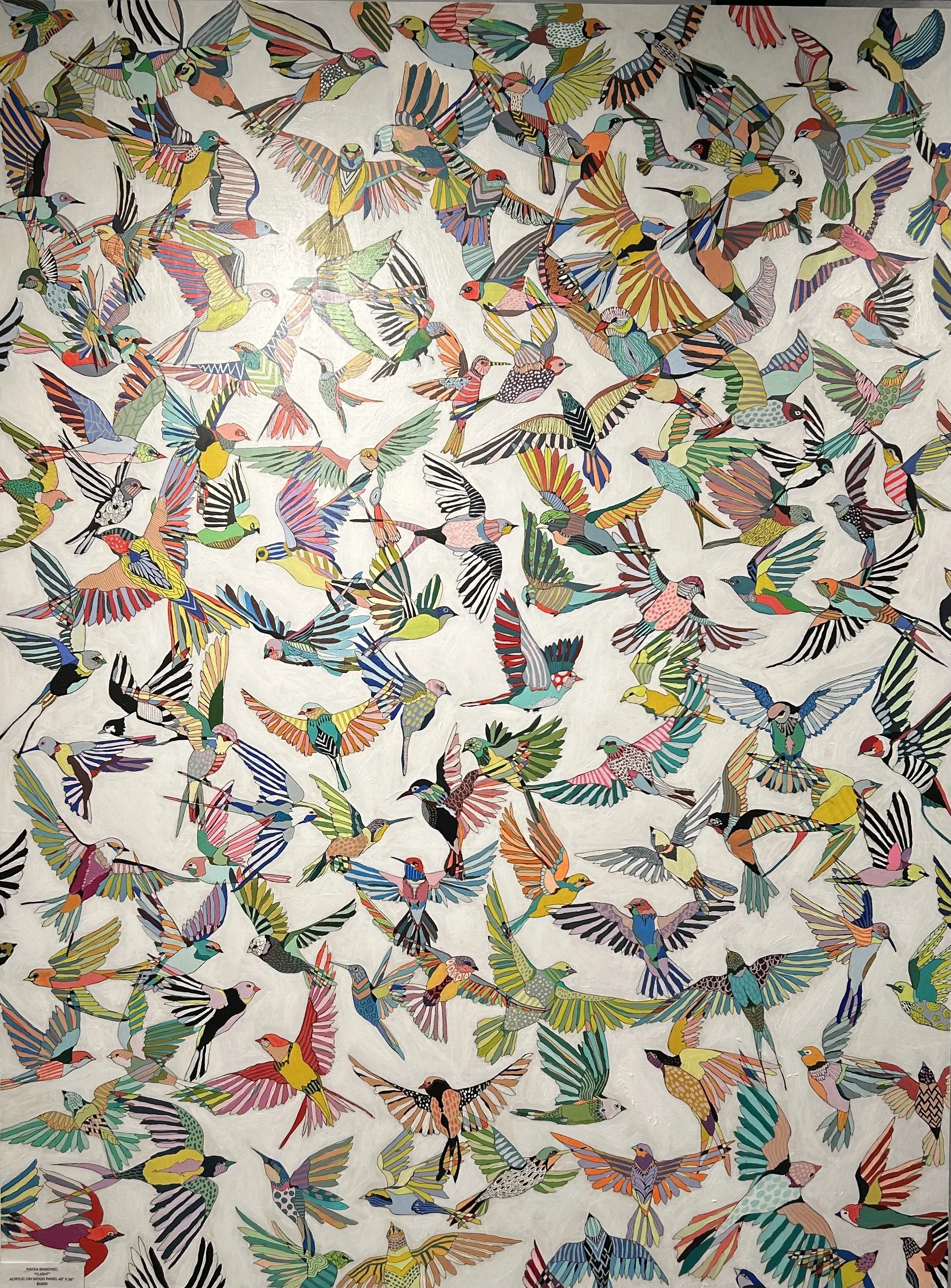 Colorful artwork featuring numerous birds with vibrant, striped, and patterned feathers in flight against a white background.